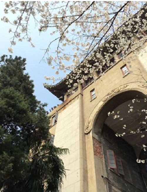 2020年3月13日，武漢站 居家云辦公，服務(wù)不打烊.png