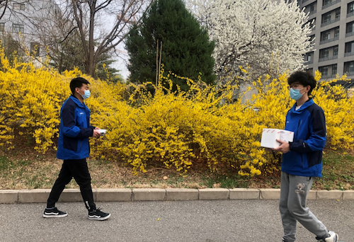 較往日靜謐的中科院北郊園區(qū)，怒放的迎春花注視著奔波于各研究所“無(wú)接觸配送”的“喀斯瑪藍(lán)” .png